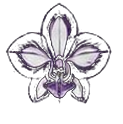 Black Orchid Theory orchid mark